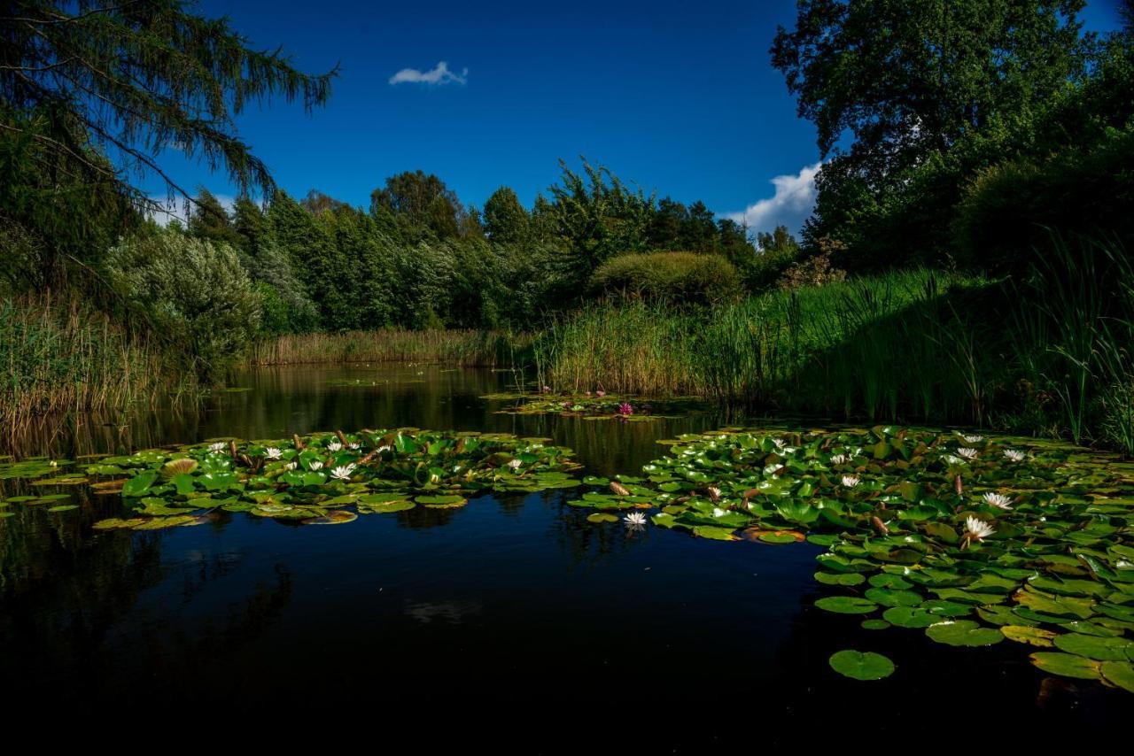 Idilliska Latgaliesu Lauku Maja Ar Melno Pirti Villa Aglona Bagian luar foto