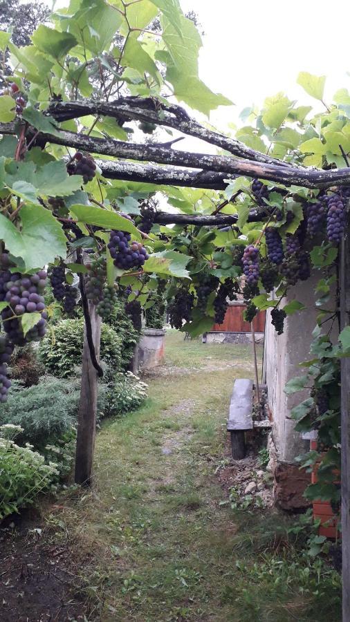 Idilliska Latgaliesu Lauku Maja Ar Melno Pirti Villa Aglona Bagian luar foto