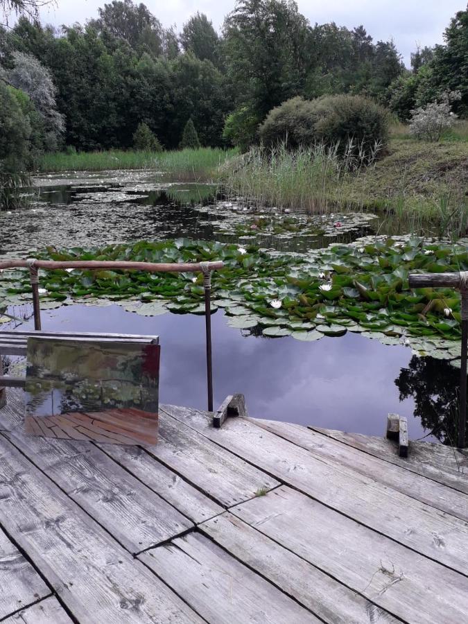 Idilliska Latgaliesu Lauku Maja Ar Melno Pirti Villa Aglona Bagian luar foto