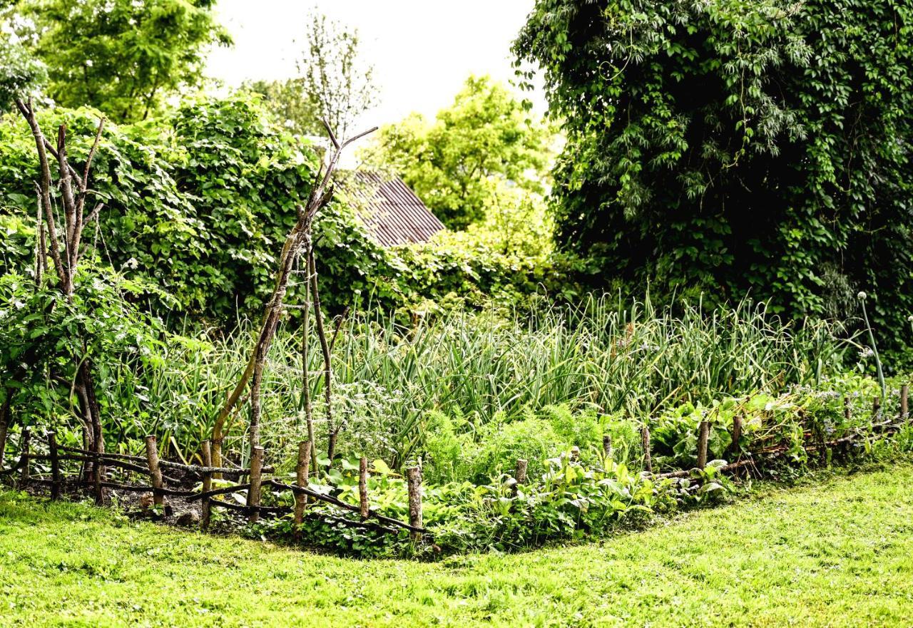 Idilliska Latgaliesu Lauku Maja Ar Melno Pirti Villa Aglona Bagian luar foto