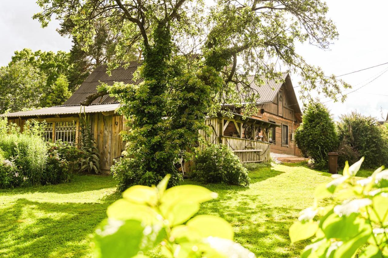Idilliska Latgaliesu Lauku Maja Ar Melno Pirti Villa Aglona Bagian luar foto